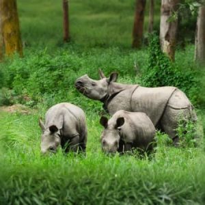 Khao Kheow Zoo
