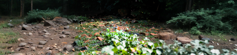 Zoo Negara Kuala Lumpur