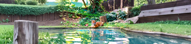 Zoo Negara