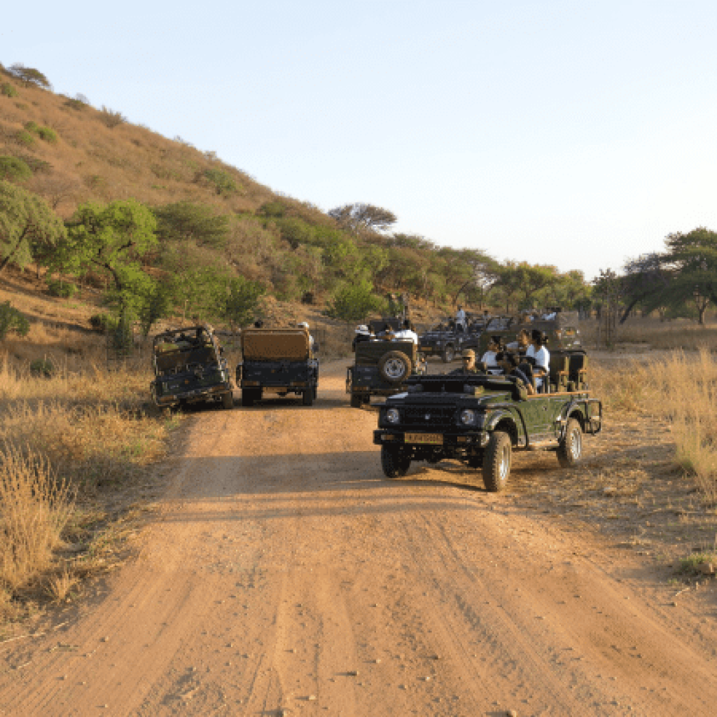 Jaipur Jhalana Sharing Jeep Safari