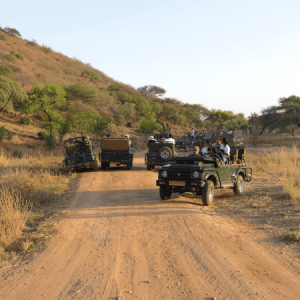 Jaipur Jhalana Sharing Jeep Safari