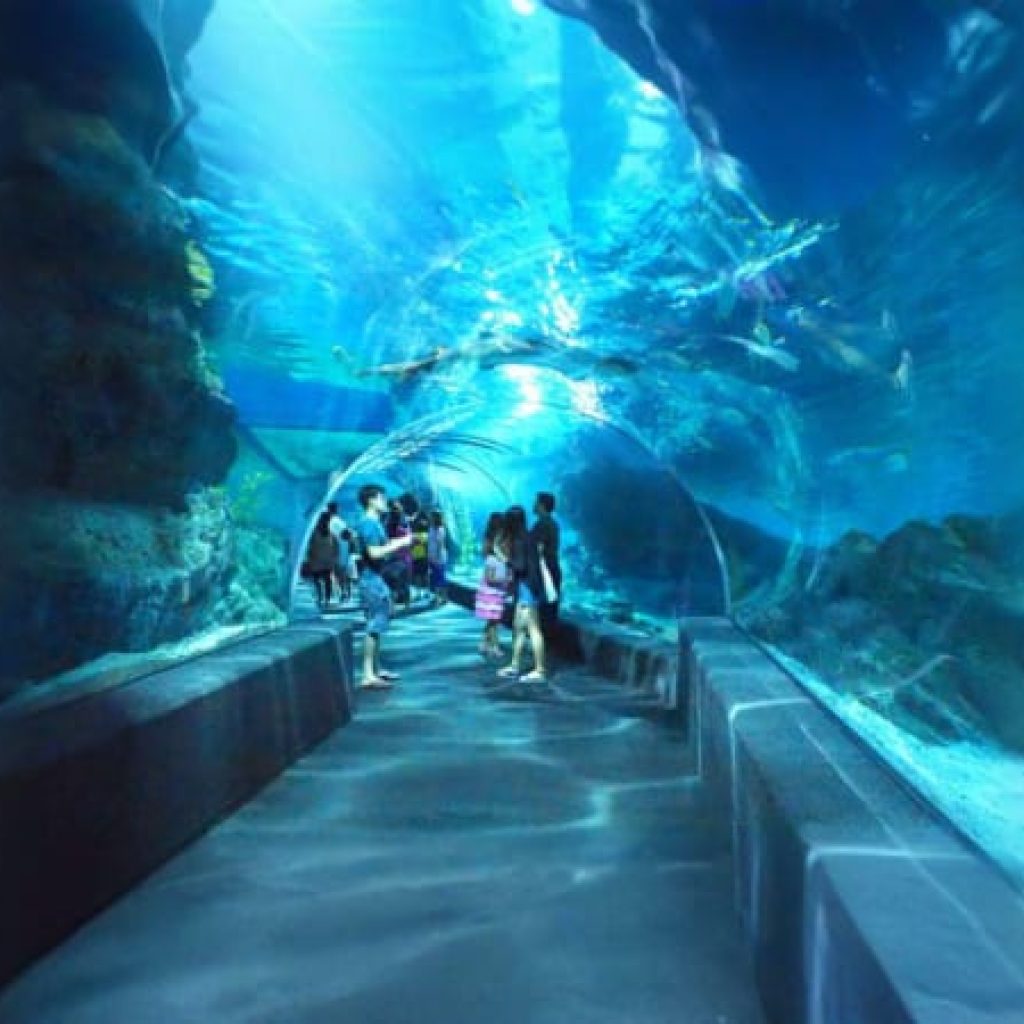 Sea Life Bangkok Ocean World