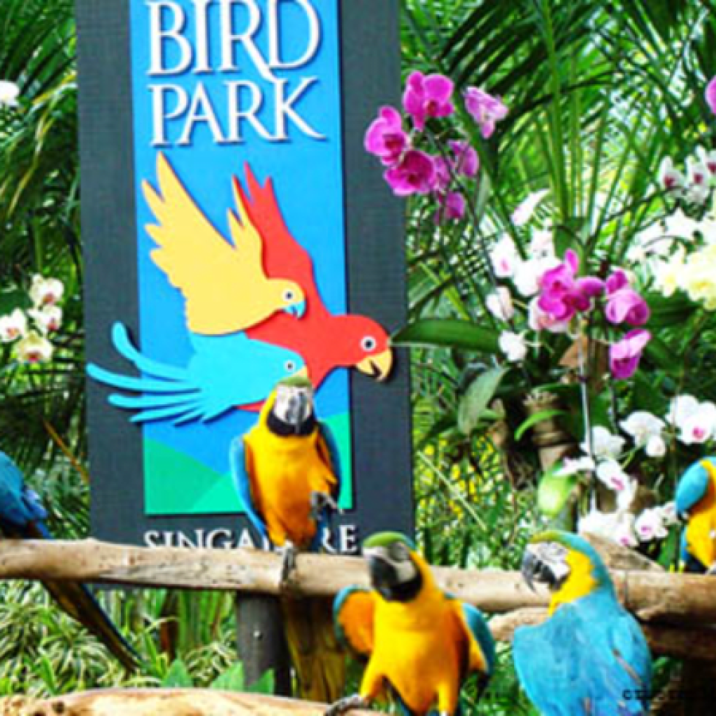 Phuket Bird Park