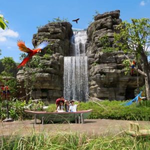 Bird Paradise Singapore