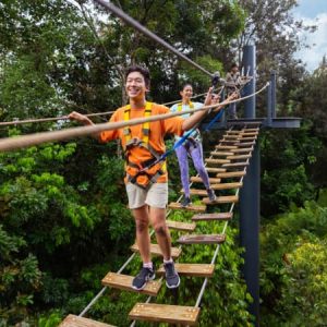Rainforest Wild Adventure
