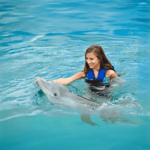 Dolphinarium