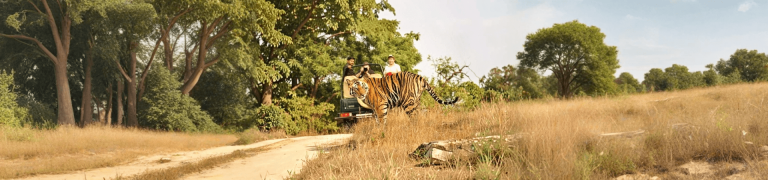 Exclusive Jeep Safari Indian