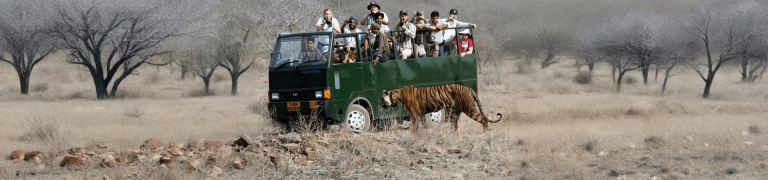 Canter Safari Indian