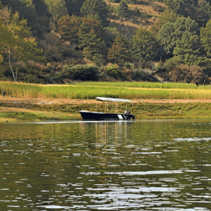 Chambal Boat Safari