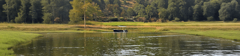 Chambal Boat Safari