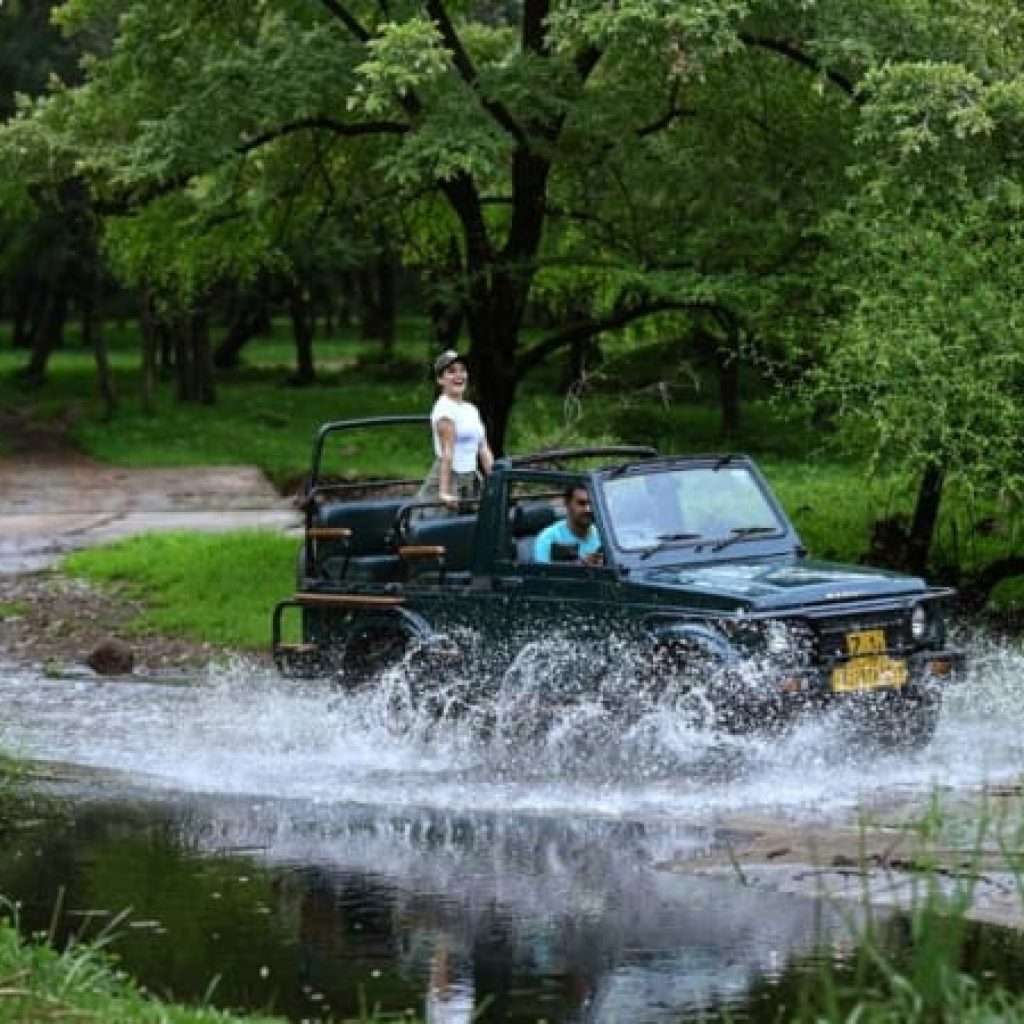 Exclusive Jeep Safari with Expert Tracker Ranthambore