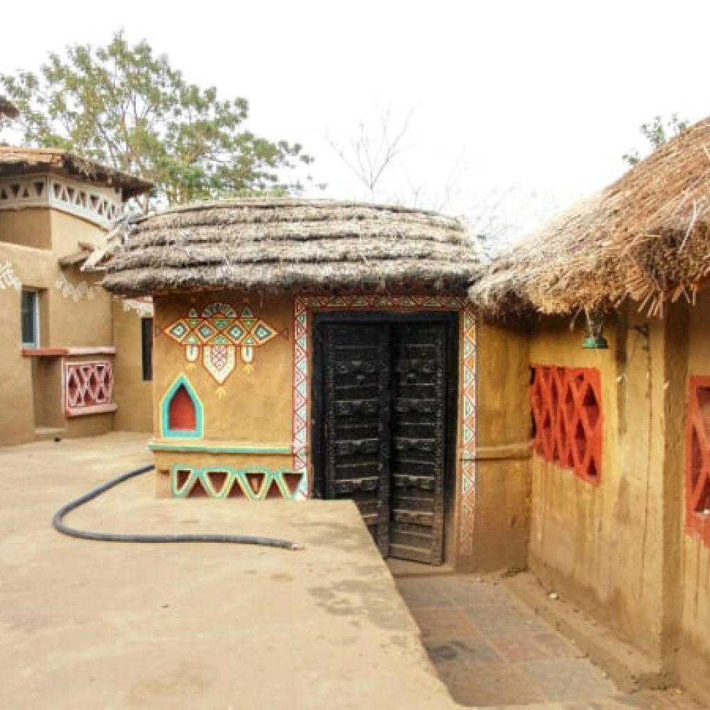 Ranthambore Near By Village Visit