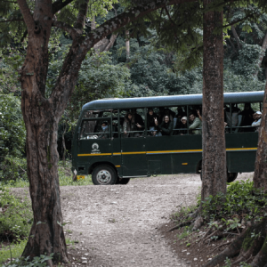 Canter Safari at Dhikala