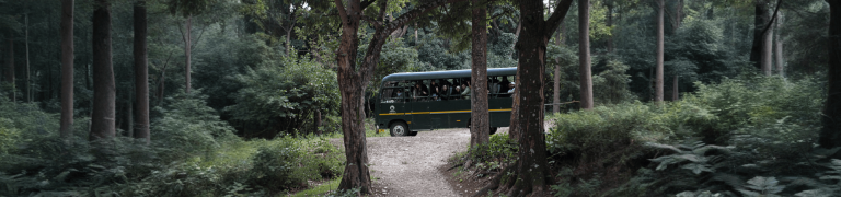 Canter Safari at Dhikala