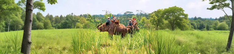 Elephant Safari Corbett