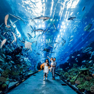 VinKE and Vin Pearl Aquarium