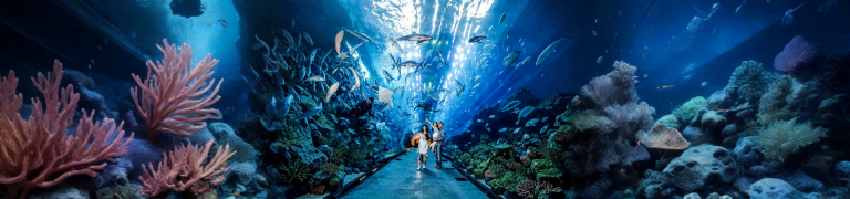 VinKE and Vin Pearl Aquarium