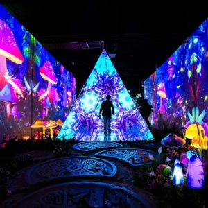 X Space Immersive with Digital Art experience